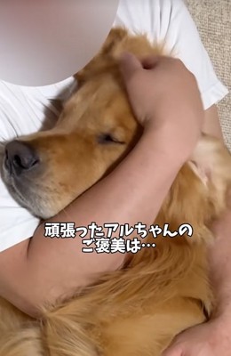 お父さんに甘える大型犬