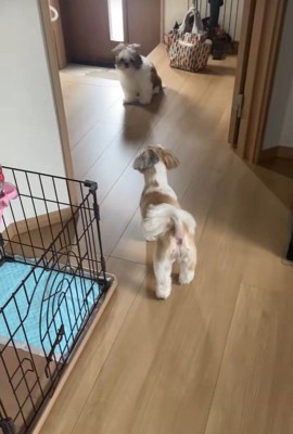 「ただいま」と挨拶したら…