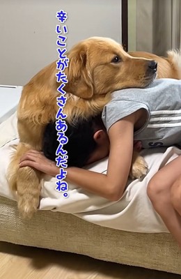 子供に寄り添う大型犬
