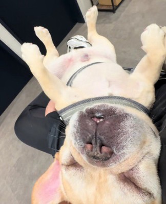 動物病院と思えない!?