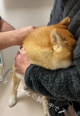 思わずパパの腕の中へ