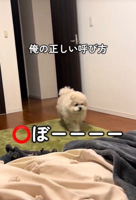 モフリシャスくんの呼び方5