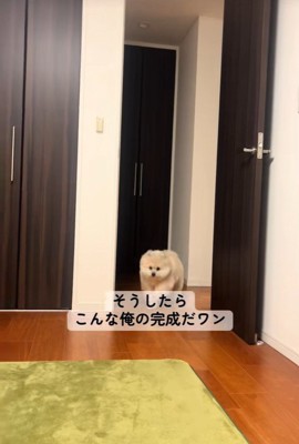 「ぼーーー」に反応する理由3