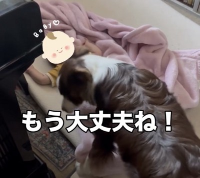 赤ちゃんから離れる犬
