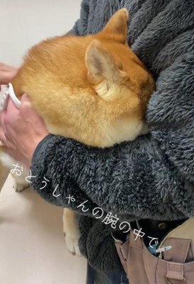 「えっ、もう終わり？」