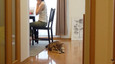 メイク中のママさん