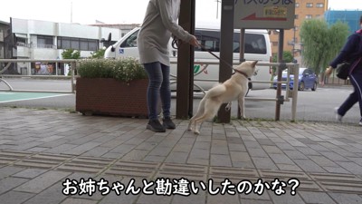 知らない人をお姉ちゃんだと勘違い！