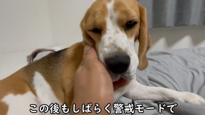 小さな子どものよう♡