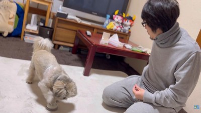 指示される前に鳴らしています