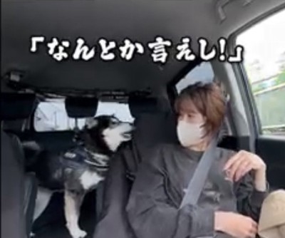 飼い主に訴える犬