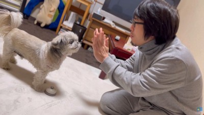 「終わり」と伝えると…