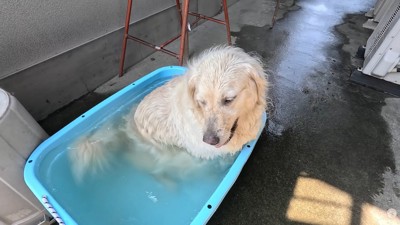 「いや、もうちょっとだけ…！」