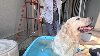 「水風呂、最高～っ！」