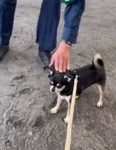 ちょっぴり不満だけど…