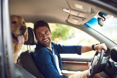 運転しながら犬を振り返る男性