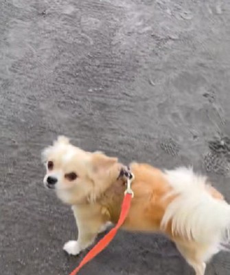 温かな思い出ができたね