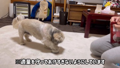 クレーマーのように催促（笑）