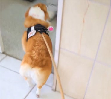 診察室