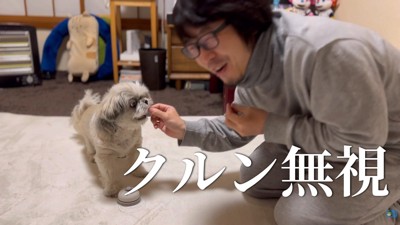 指示を無視してオヤツを催促