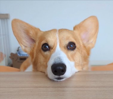 見つめる