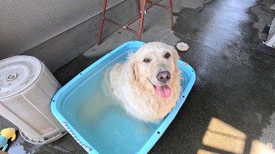 もう30分以上入っています（笑）