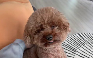 寝かしつけもしてもらう♡