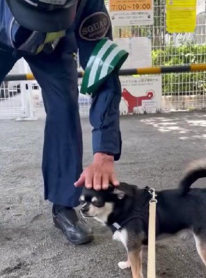 作業員さんがなでなで♡