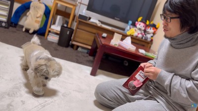 「もっと寄こせ」とベルを連打！