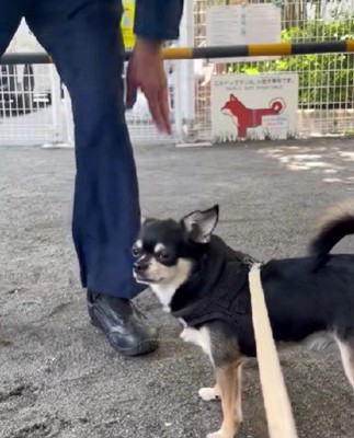 「遊べないなんて…」