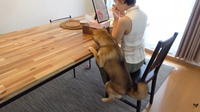 気になりすぎてジャンプ!