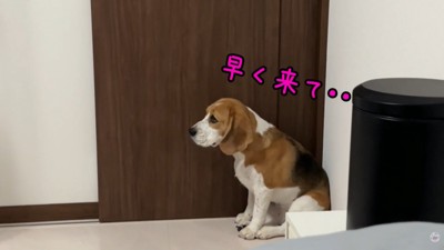 パパさんを待っています