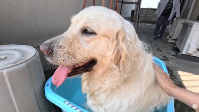 「気持ち良い～♪」