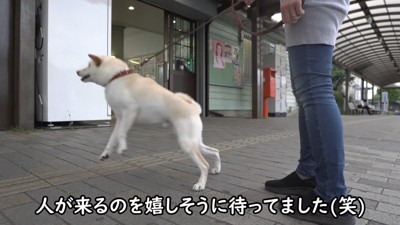 人が通ると大はしゃぎ！