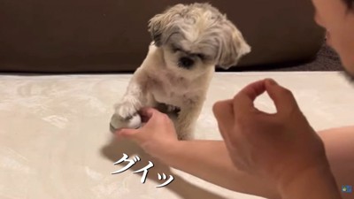 グイッとお手々に当ててチン♪