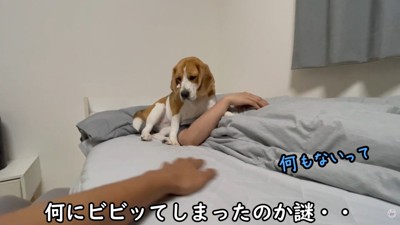 パパさんが何もいないことを確認