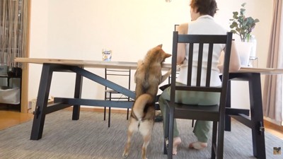 ママさんから離れません