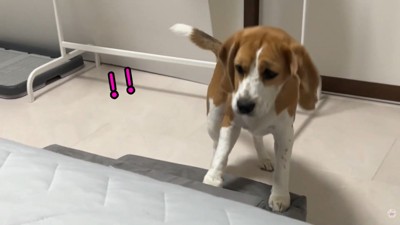 ビクッ