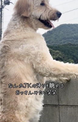 安全、守ってます！