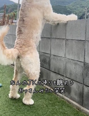 誰かが立っている…