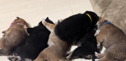 体をねじこませて…
