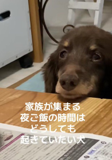 「はっ！」