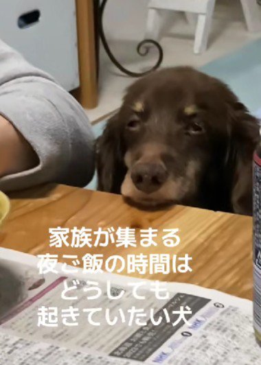 だんだんと眠くなって…