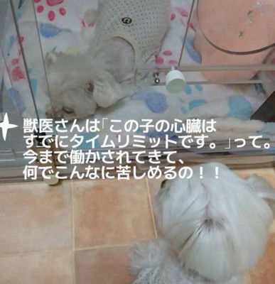心臓はすでにかなり厳しい…