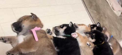 仲睦まじい光景にホッコリ