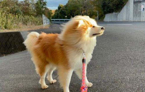 「これからどこに行こうかな？」