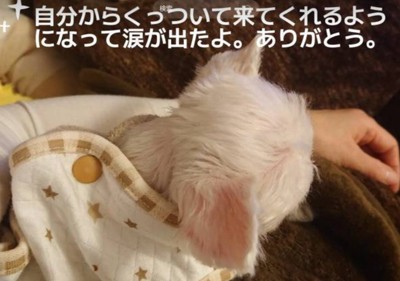 少しずつ絆が深まった