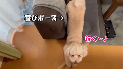行く気満々！