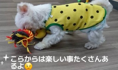 家族として迎えられることに