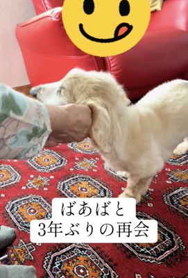 ナデナデを大満喫
