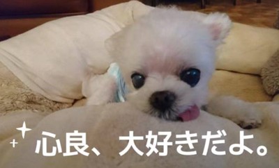 かけがえのない宝物